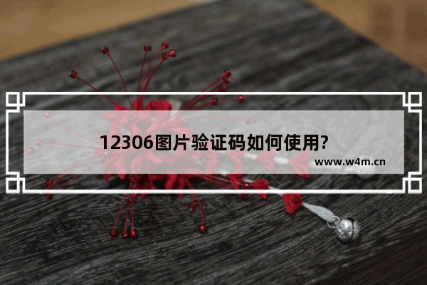 12306图片验证码如何使用?