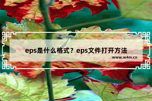 eps是什么格式？eps文件打开方法