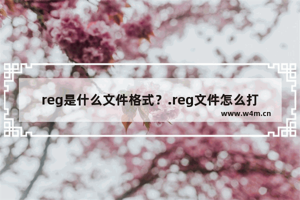 reg是什么文件格式？.reg文件怎么打开？