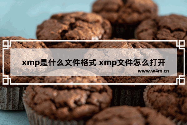 xmp是什么文件格式 xmp文件怎么打开？