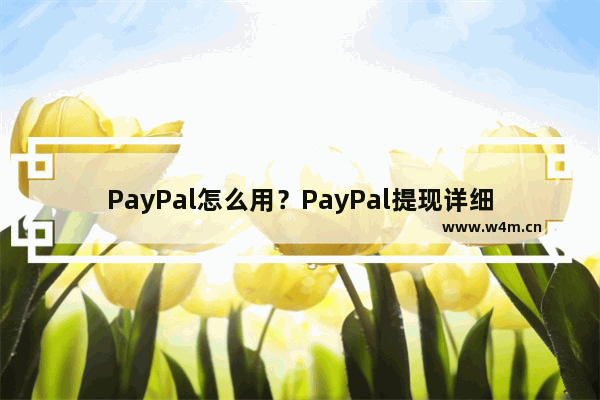 PayPal怎么用？PayPal提现详细图文教程