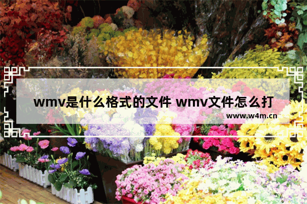 wmv是什么格式的文件 wmv文件怎么打开？