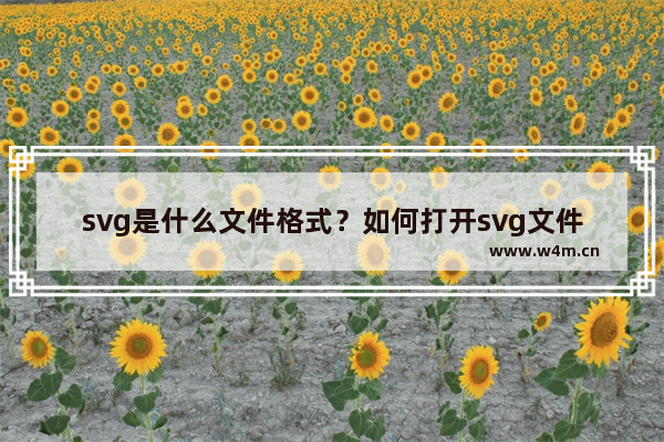 svg是什么文件格式？如何打开svg文件？