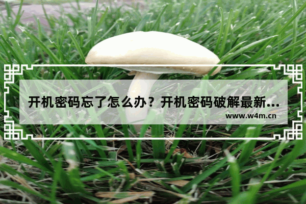 开机密码忘了怎么办？开机密码破解最新图文详细教程