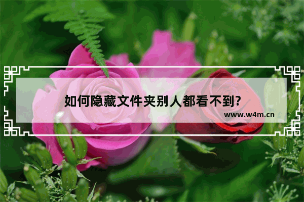 如何隐藏文件夹别人都看不到?