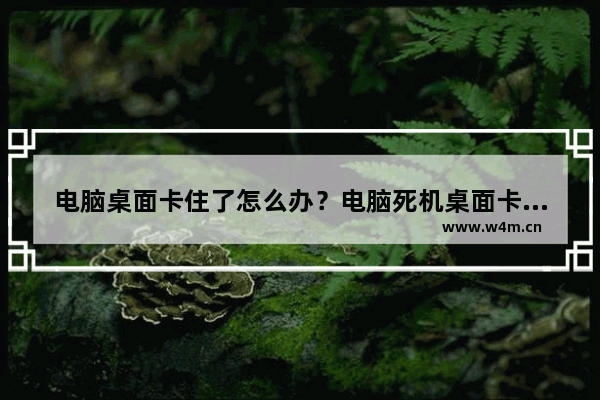 电脑桌面卡住了怎么办？电脑死机桌面卡死现象的解决办法介绍