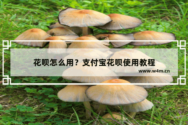 花呗怎么用？支付宝花呗使用教程