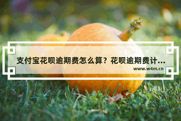 支付宝花呗逾期费怎么算？花呗逾期费计算公式介绍