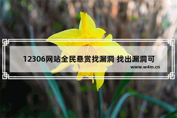 12306网站全民悬赏找漏洞 找出漏洞可或许奖励