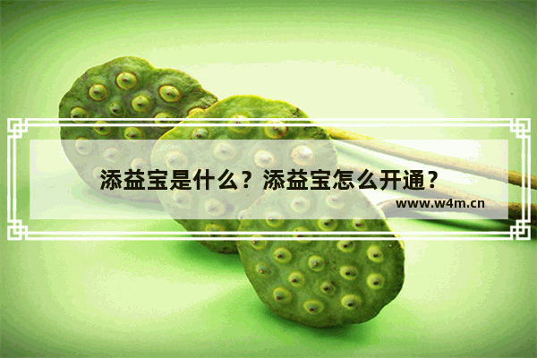 添益宝是什么？添益宝怎么开通？