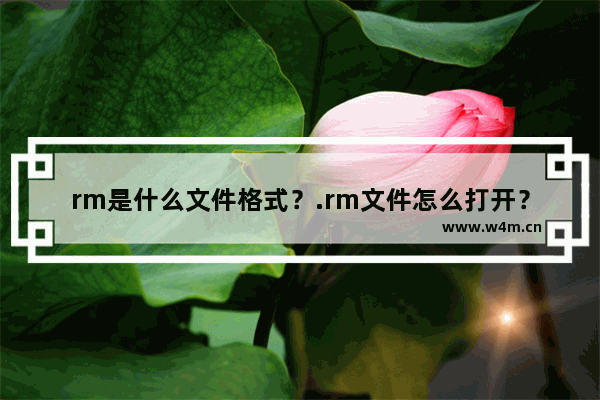 rm是什么文件格式？.rm文件怎么打开？