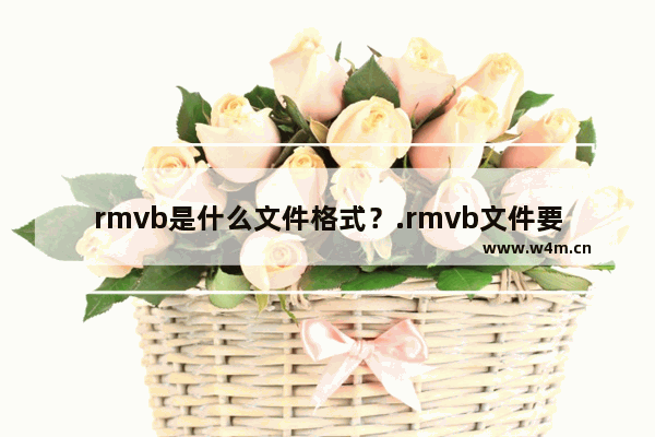 rmvb是什么文件格式？.rmvb文件要怎么打开？