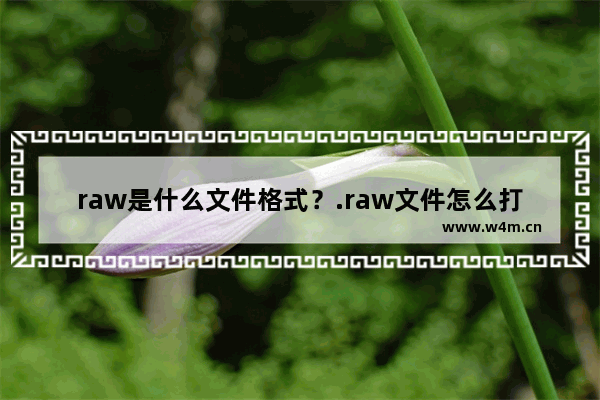 raw是什么文件格式？.raw文件怎么打开