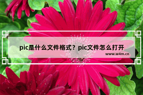 pic是什么文件格式？pic文件怎么打开？