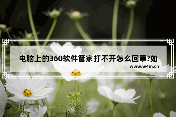 电脑上的360软件管家打不开怎么回事?如何解决?