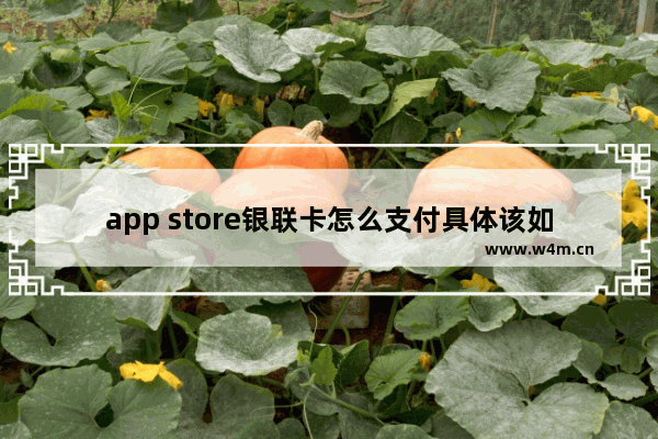 app store银联卡怎么支付具体该如何操作