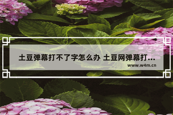 土豆弹幕打不了字怎么办 土豆网弹幕打不了中文解决方法