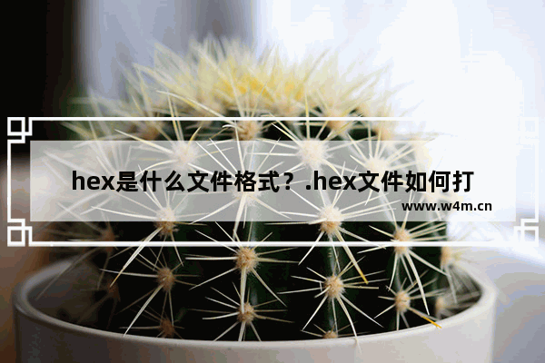 hex是什么文件格式？.hex文件如何打开？