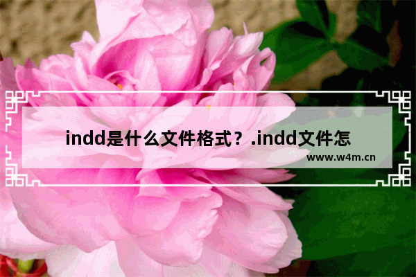 indd是什么文件格式？.indd文件怎么打开？