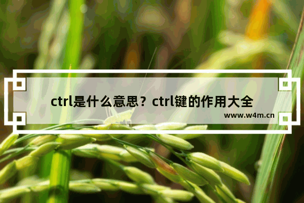 ctrl是什么意思？ctrl键的作用大全