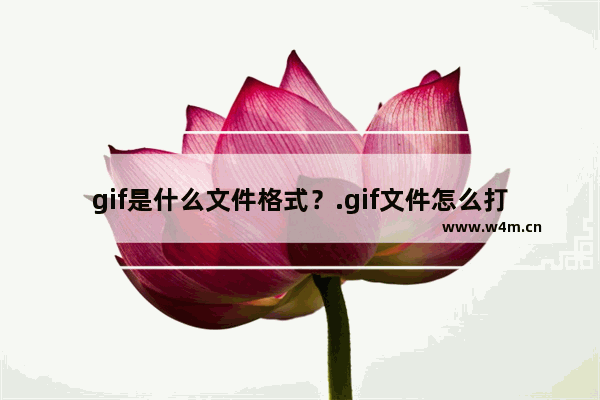 gif是什么文件格式？.gif文件怎么打开？