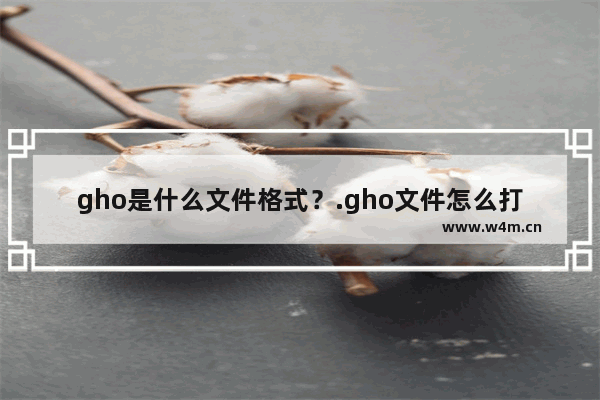 gho是什么文件格式？.gho文件怎么打开?