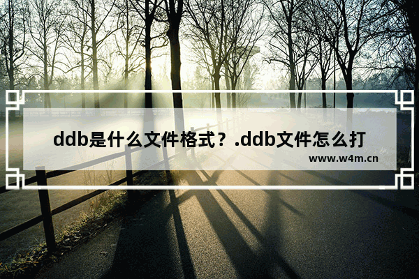 ddb是什么文件格式？.ddb文件怎么打开？