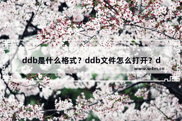 ddb是什么格式？ddb文件怎么打开？ddb打开方法介绍