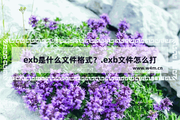 exb是什么文件格式？.exb文件怎么打开？