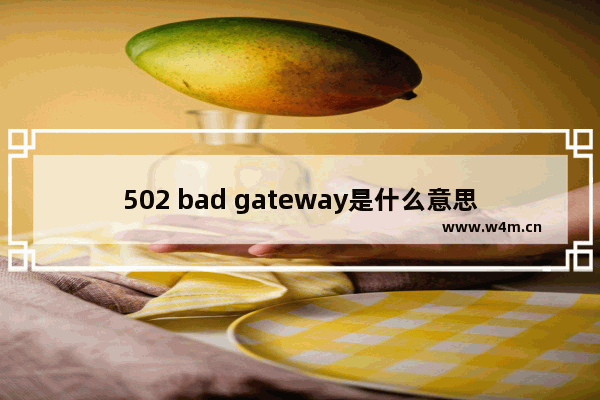 502 bad gateway是什么意思？502 bad gateway错误解决办法