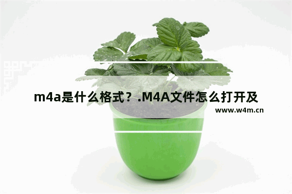 m4a是什么格式？.M4A文件怎么打开及播放？