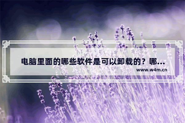 电脑里面的哪些软件是可以卸载的？哪些软件是一定不可以卸载的？