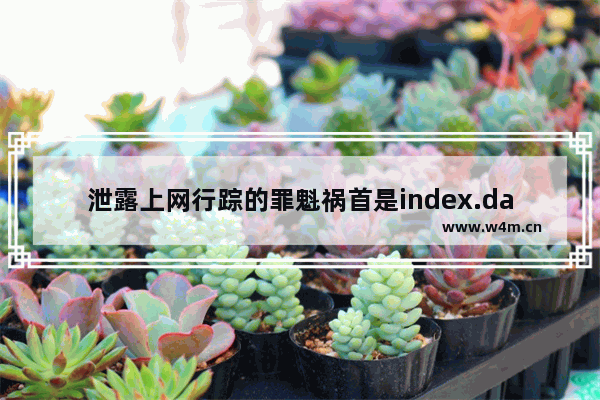 泄露上网行踪的罪魁祸首是index.dat文件 清除index.dat文件的方法