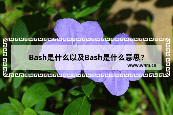 Bash是什么以及Bash是什么意思？