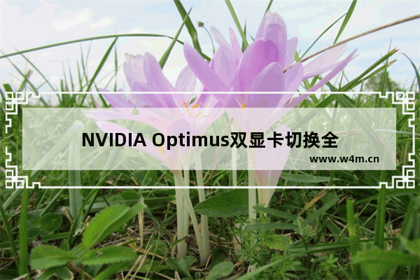 NVIDIA Optimus双显卡切换全程图解