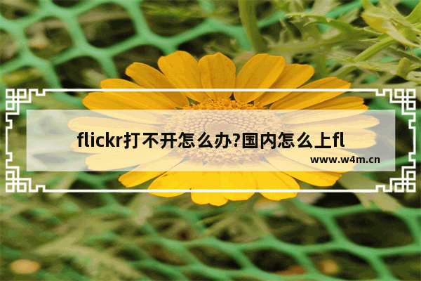 flickr打不开怎么办?国内怎么上flickr网站呢?