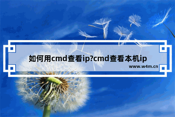 如何用cmd查看ip?cmd查看本机ip方法介绍 图文