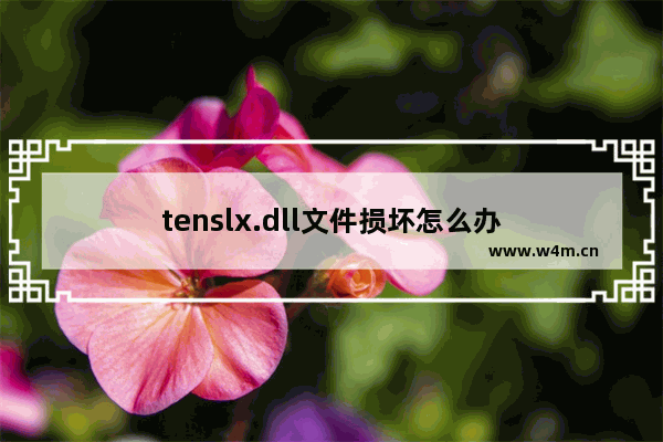 tenslx.dll文件损坏怎么办