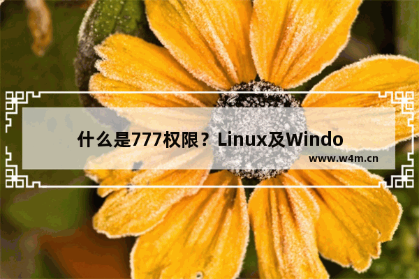 什么是777权限？Linux及Windows下如何设置文件夹的权限为777？