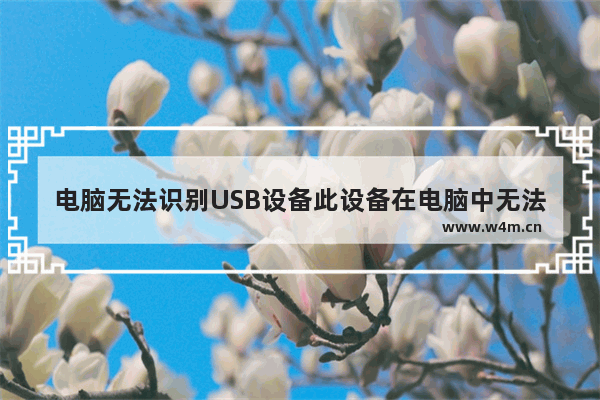 电脑无法识别USB设备此设备在电脑中无法使用