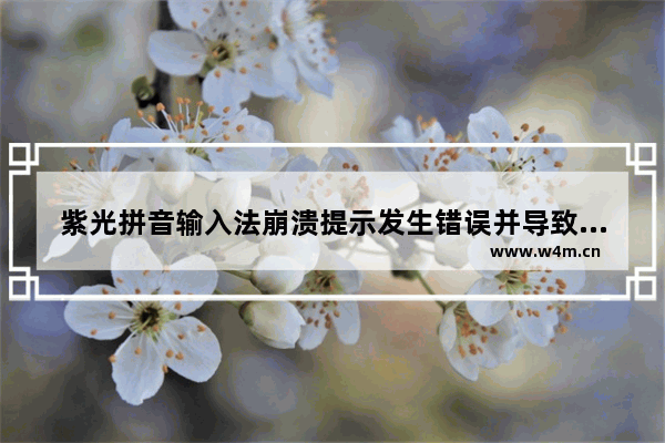 紫光拼音输入法崩溃提示发生错误并导致程序退出