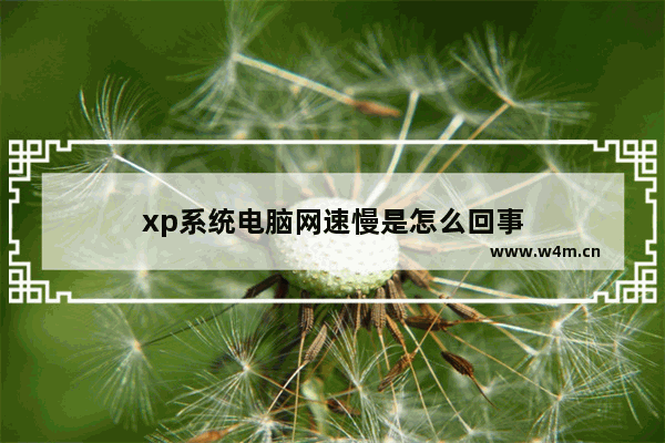 xp系统电脑网速慢是怎么回事