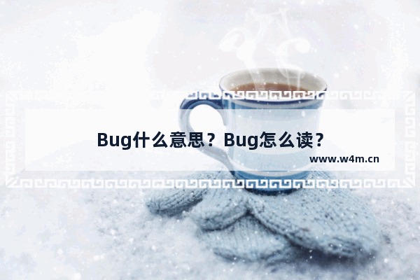 Bug什么意思？Bug怎么读？