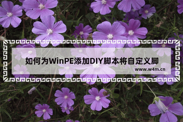 如何为WinPE添加DIY脚本将自定义脚本添加到PE系统中