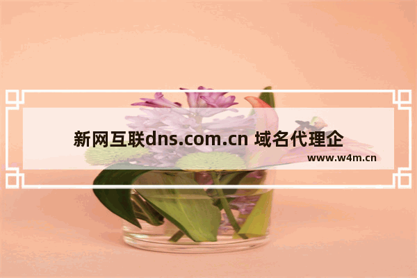 新网互联dns.com.cn 域名代理企业邮箱登录地址