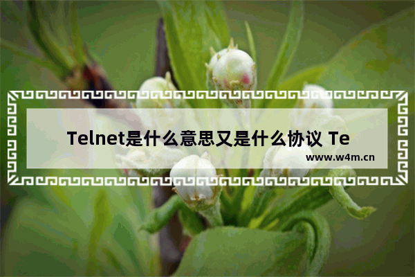 Telnet是什么意思又是什么协议 Telnet有什么作用及功能