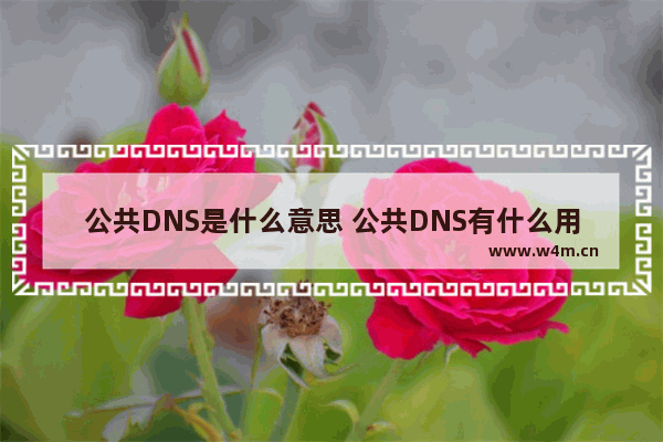 公共DNS是什么意思 公共DNS有什么用途