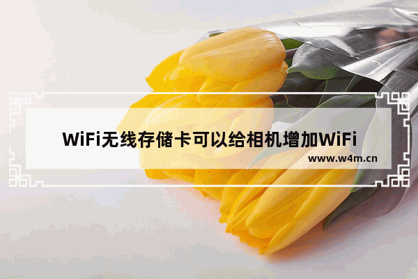 WiFi无线存储卡可以给相机增加WiFi功能