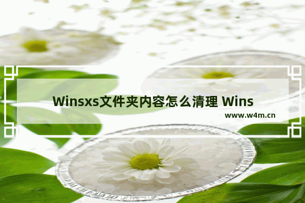 Winsxs文件夹内容怎么清理 Winsxs文件夹瘦身清理教程图解