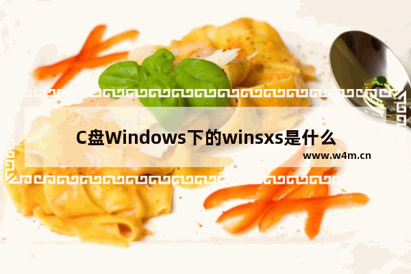 C盘Windows下的winsxs是什么文件可以删除吗